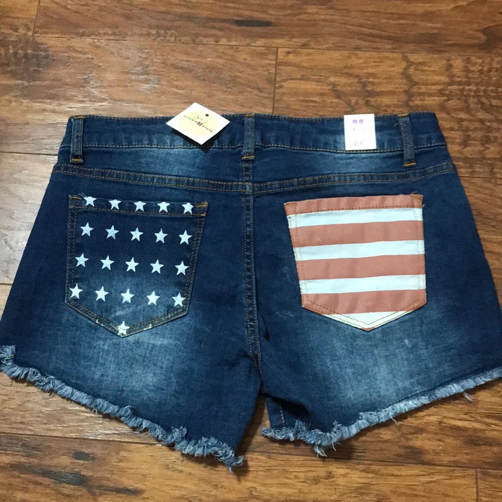 Altar’d State Jean Shorts (3)